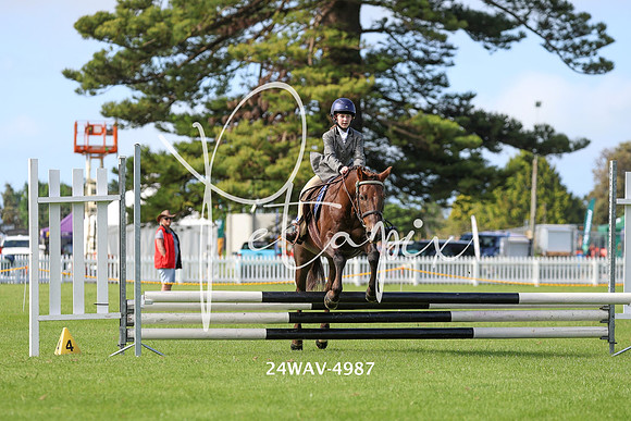 24WAV-4987