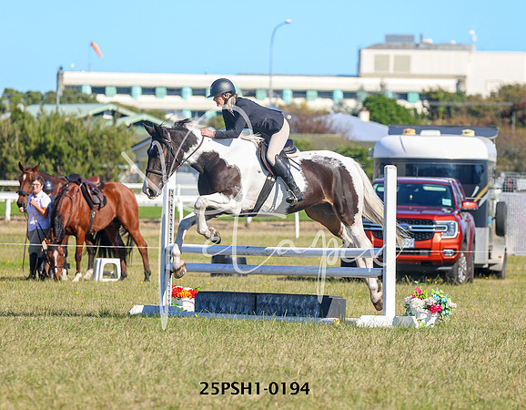 25PSH1-0194