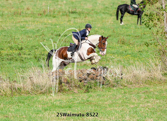 25Waimutu-8522
