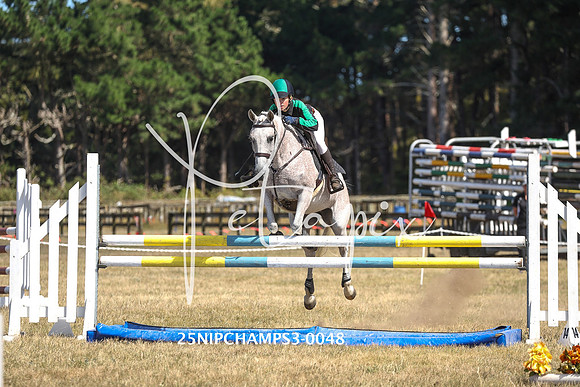 25NIPCHAMPS3-0048