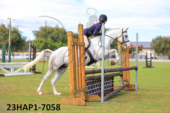 23HAP1-7058