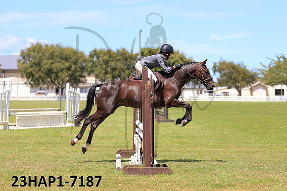 23HAP1-7187