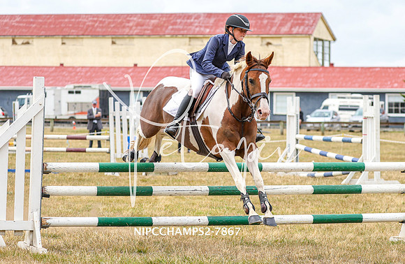 NIPCCHAMPS2-7867
