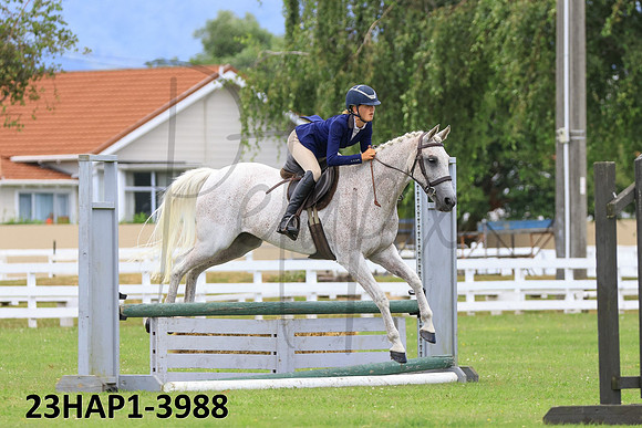 23HAP1-3988