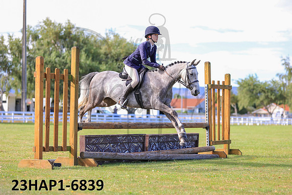 23HAP1-6839