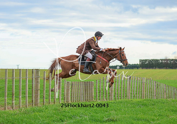 25Flockhart2-0043