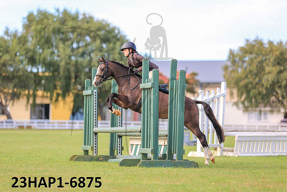 23HAP1-6875