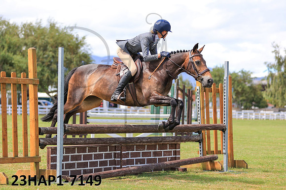 23HAP1-7149