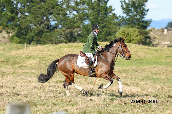 22MHT-0481