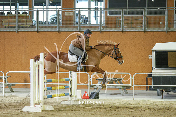 FPD2-0993