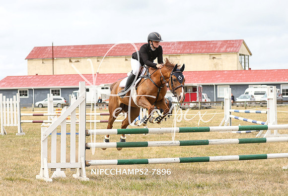 NIPCCHAMPS2-7896