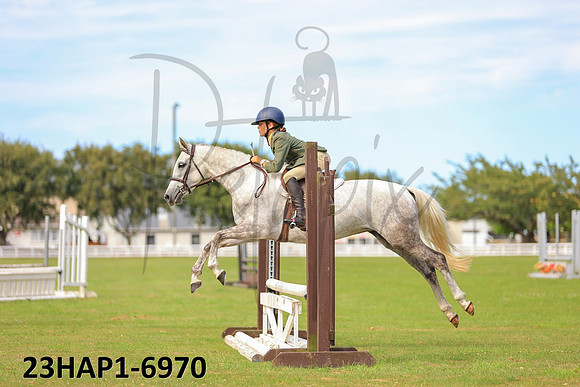 23HAP1-6970