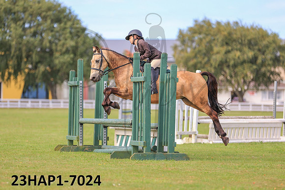 23HAP1-7024