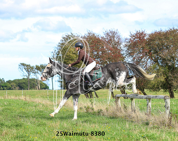 25Waimutu-8380