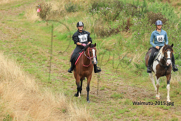 Waimutu-2015