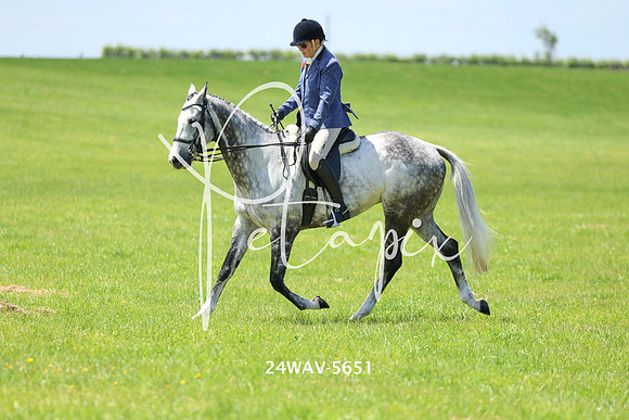 24WAV-5651