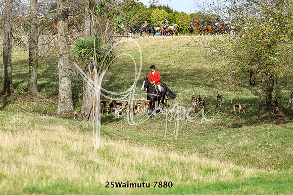 25Waimutu-7880