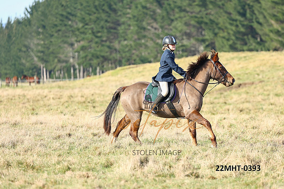22MHT-0393
