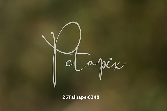 25Taihape-6348