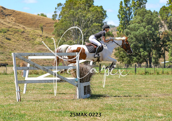 25MAK-0223