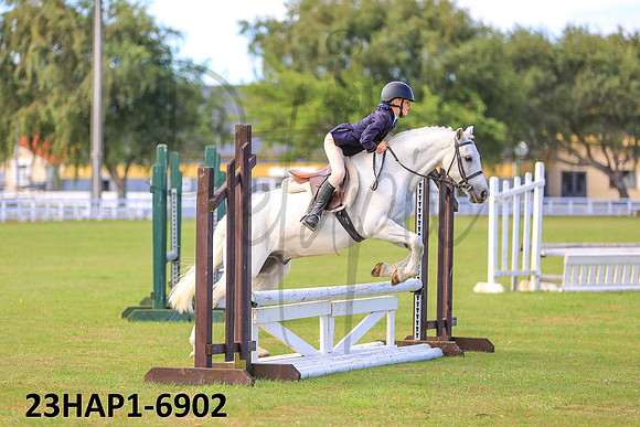 23HAP1-6902