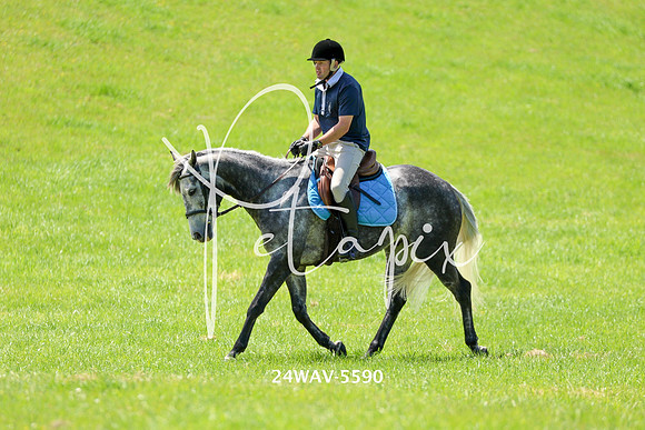 24WAV-5590