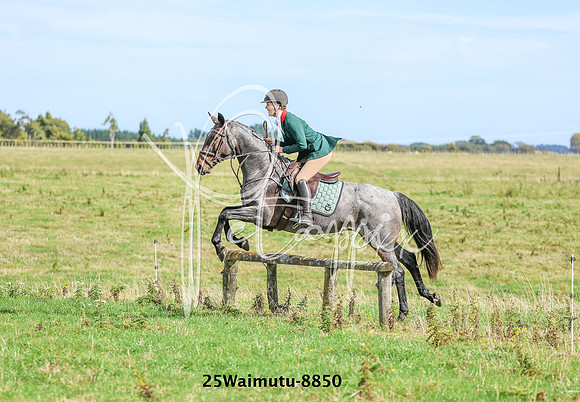 25Waimutu-8850