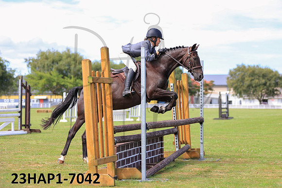 23HAP1-7042