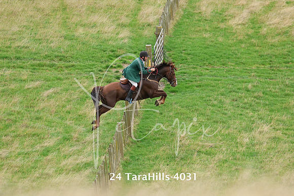 24 TaraHills-4031