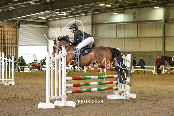 FPD3-0073