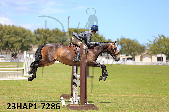 23HAP1-7286
