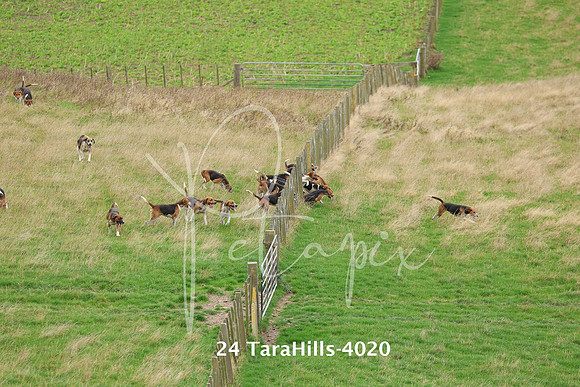 24 TaraHills-4020