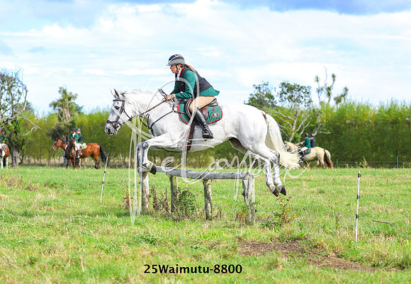 25Waimutu-8800