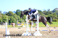23FAPIFEB-0169
