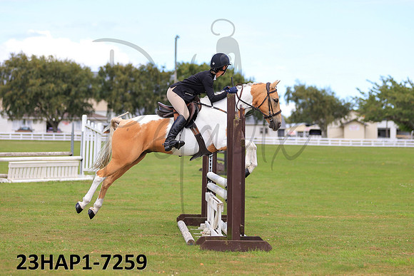 23HAP1-7259