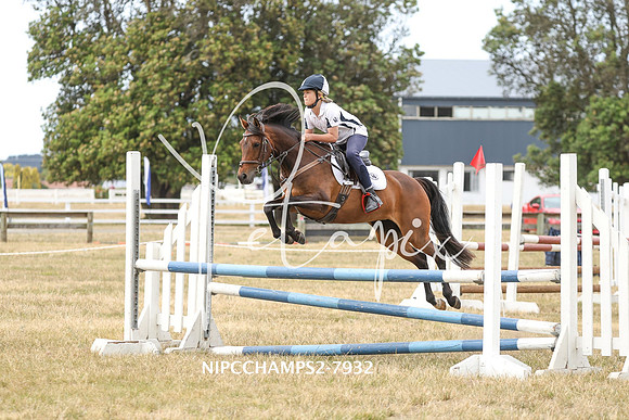 NIPCCHAMPS2-7932