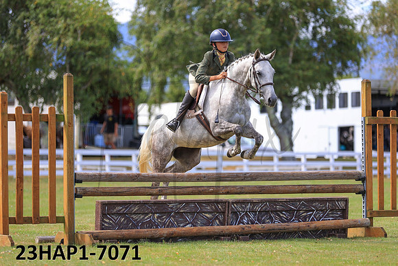 23HAP1-7071