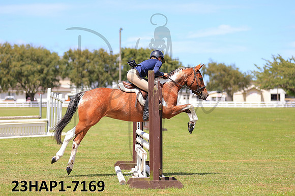 23HAP1-7169