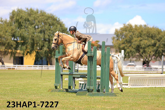 23HAP1-7227