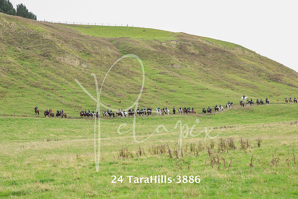24 TaraHills-3886