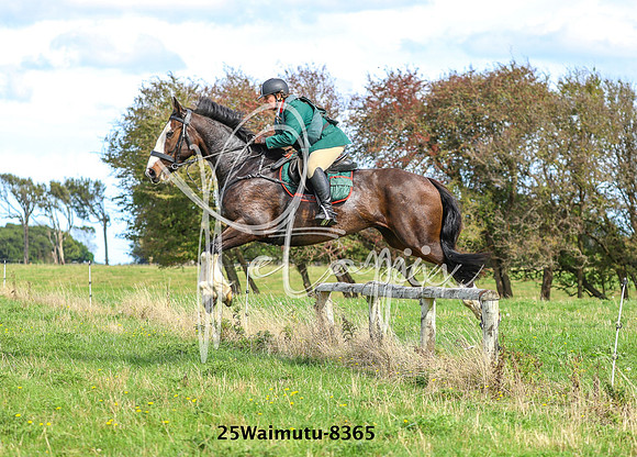 25Waimutu-8365