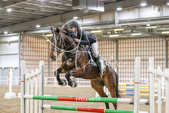 FPD3-0855