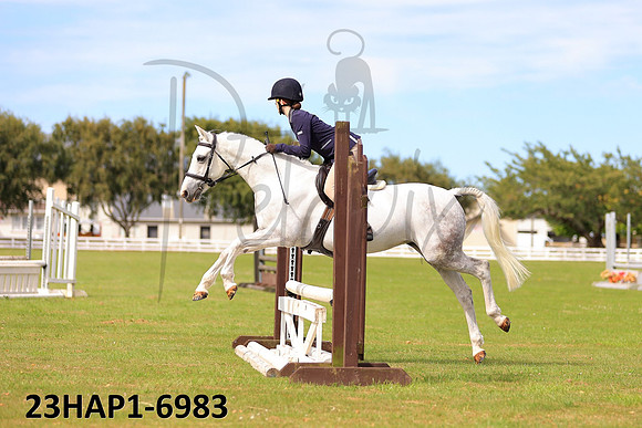 23HAP1-6983