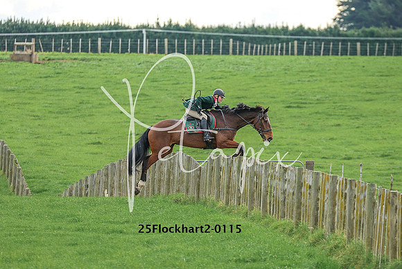 25Flockhart2-0115