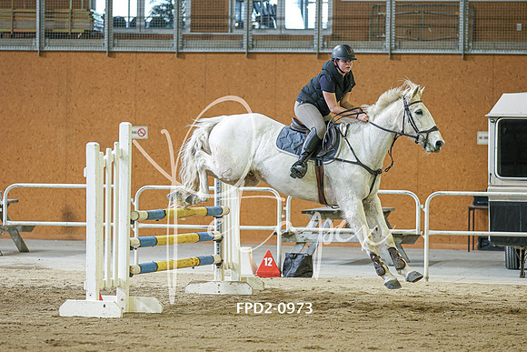 FPD2-0973