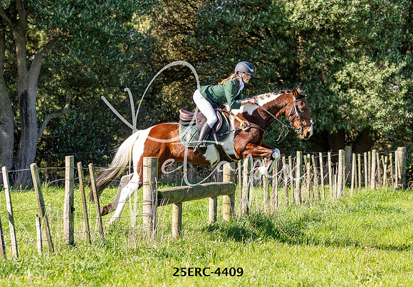 25ERC-4409