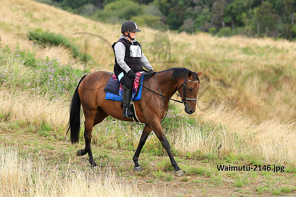 Waimutu-2146