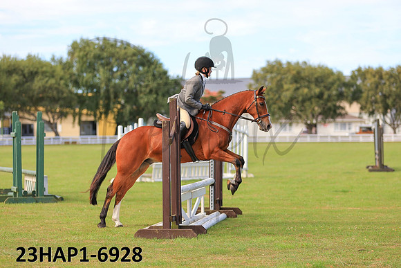 23HAP1-6928