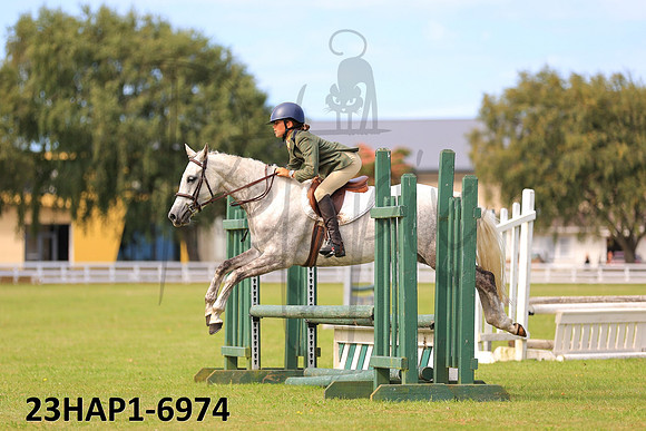 23HAP1-6974