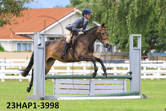 23HAP1-3998